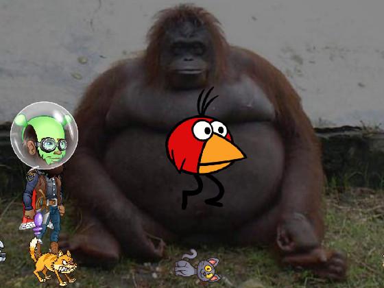 bigBob