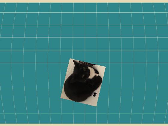 maxwell the cat clicker
