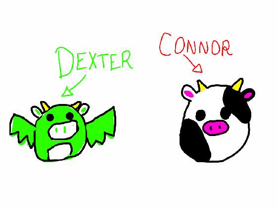 Meet Dexter and Connor!