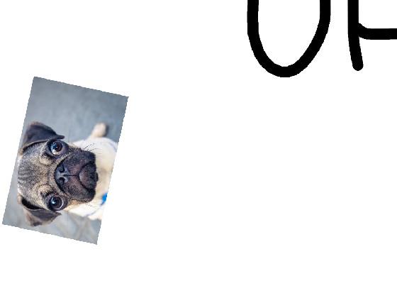 FBI OPEN UP 1