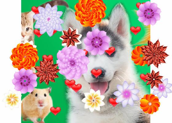 puppys+kitties - copy