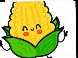 iT’S cOrN song 1 1 1 1 1 1