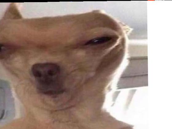 Scary Maze Game 1112 1