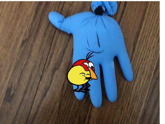 peep amd a red bird🌸