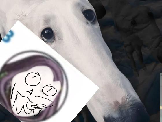 let me do it for you