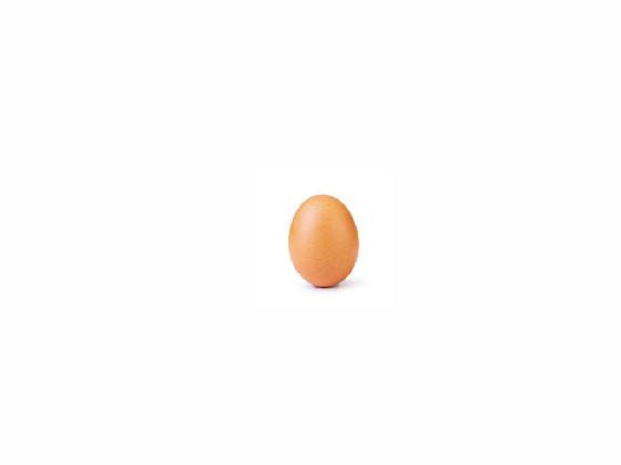 egg 1