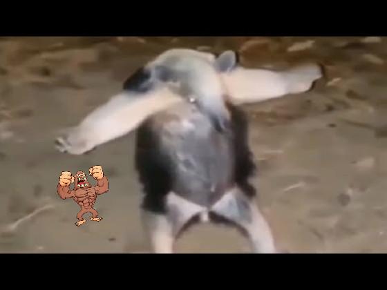 Shrek All Star weird