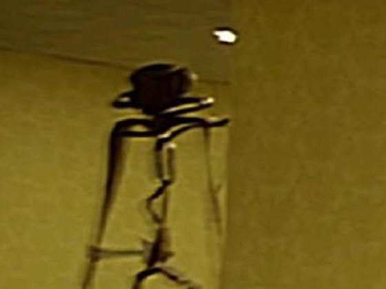 WORK HARDER WHOPPER   1 1