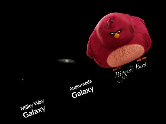 Da biggest bird 1 1 1 1 1