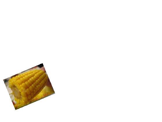iT’S cOrN song 1 1 1 1 1