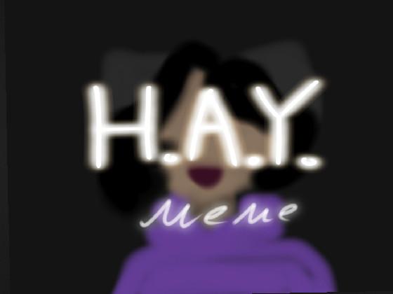 HAY meme  1 1