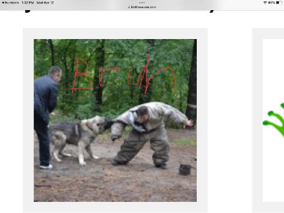 WORK HARDER WHOPPER  1 2