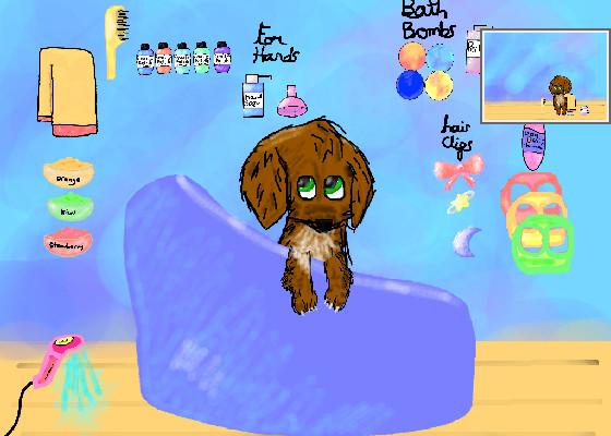 Dog spa day! update 1 1