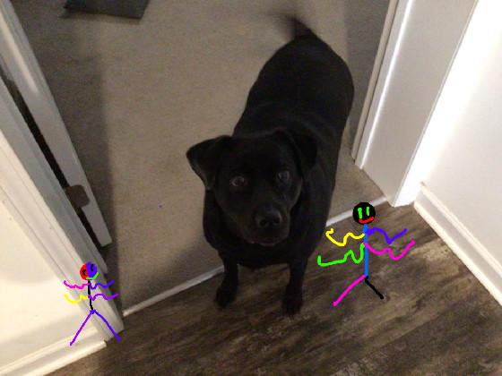 add ur oc with my Dog