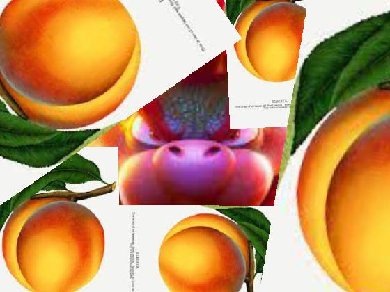 peach song 1 1 1 1