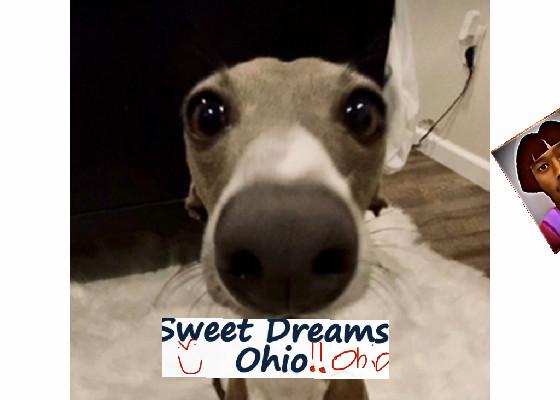 sweet dreams ohio pls like 2