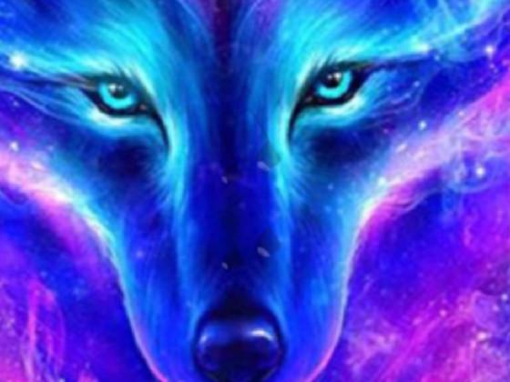 What Does The Fox Say! 1