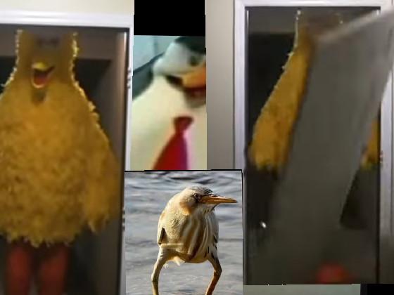 Da biggest bird party 1 1