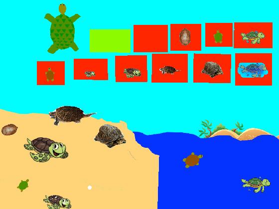 Turtle Clicker!  1.2