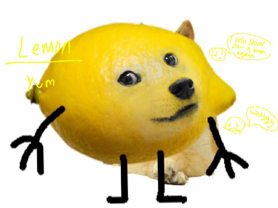 doge eats a lemon that is alive he is now the lemonnnnnn yum