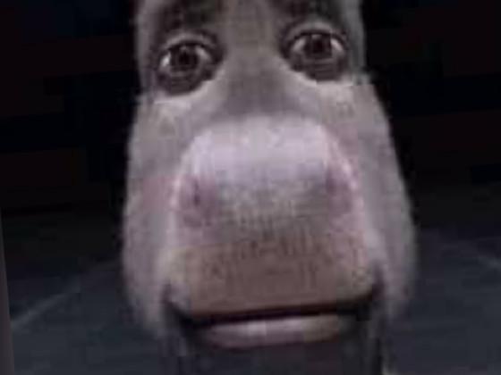 edit ur oc with donkey 1