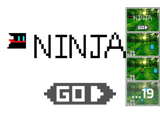 Ninja quest  - a formal edition 1 1