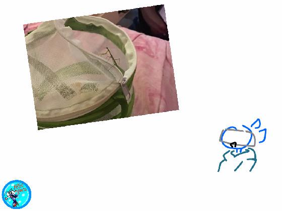re:My mantis (: 