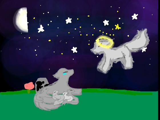 Random Animation 1  1 1