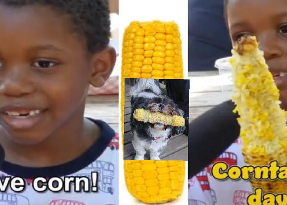 iT’S corn 462 1