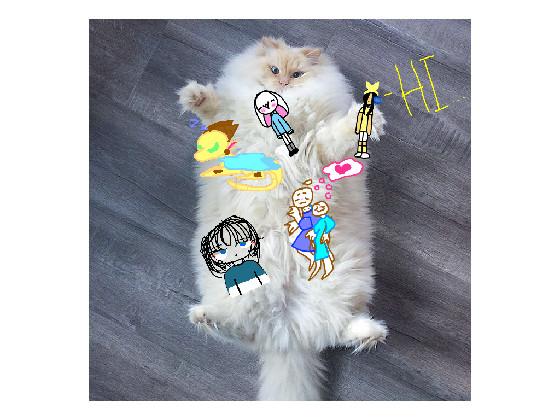 meow. 1 1 1