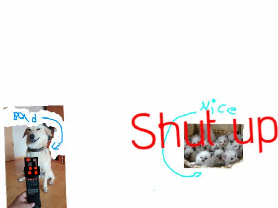 Cats are the best 1