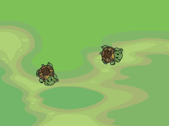 Turtle Trails Spyrgraph