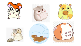 Adopt An Adorable  Hamster