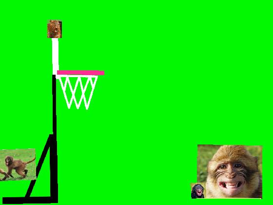 bonkey basketball monkey park 2- copy 2