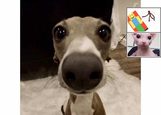 attack of the TOON MEOW 1 1