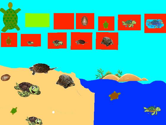 Turtle Clicker!  2