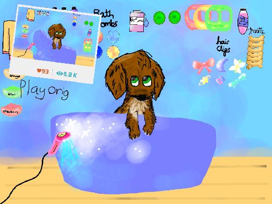 Dog spa day! update 2 1