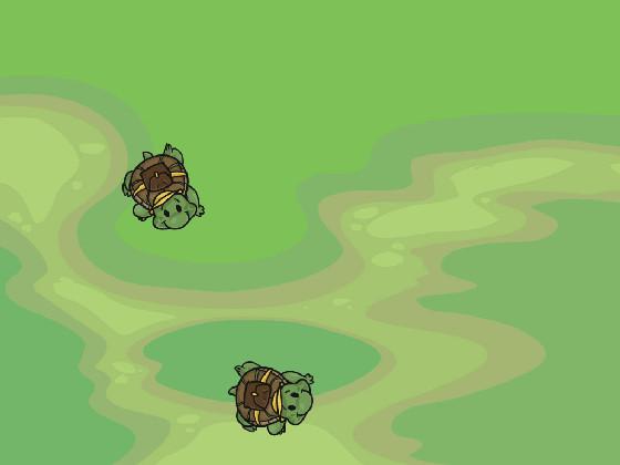 Turtle Trails 1