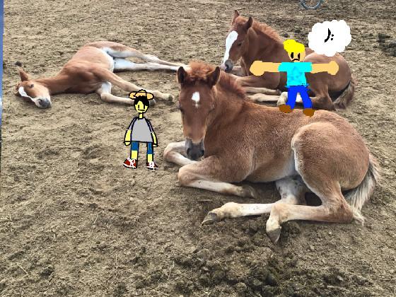 add ur oc to the pony’s!!! 1