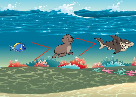 ocean food chain 1 1