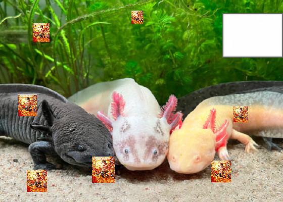 only in Ohio 🤓 1 1 1 1