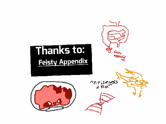“ fiesty appendix “ 1 1
