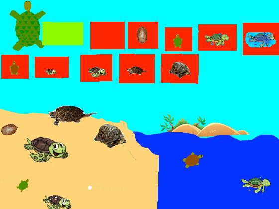 Turtle Clicker!  1