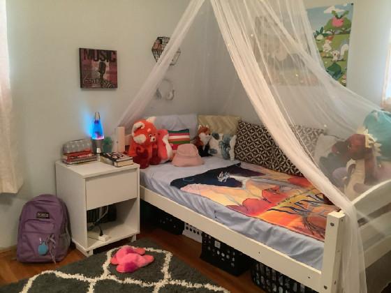 Add your OC in my room