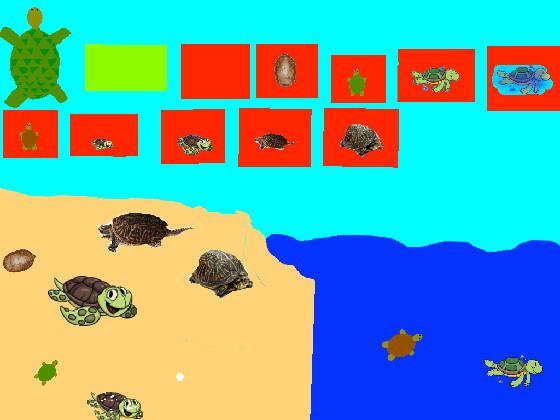 Turtle Clicker!  1