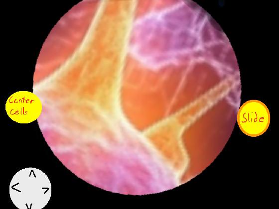 Microscope Simulator 🔬