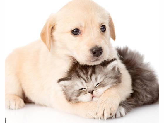 Best buddies!    🥹🥹🥹🥹🥹🥹🥹🥹🥹🥹🥹🥹🥹🥹