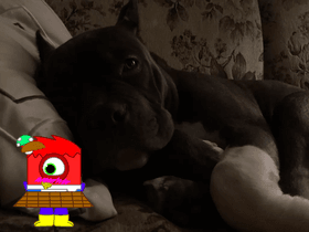 add your oc on my dog 1 1