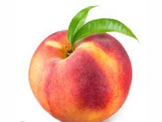 peach song 2 1 1 1