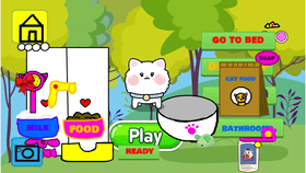 My pet kitten